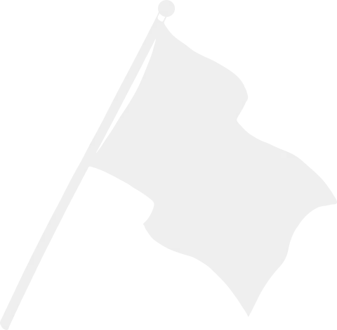 Flag Icon